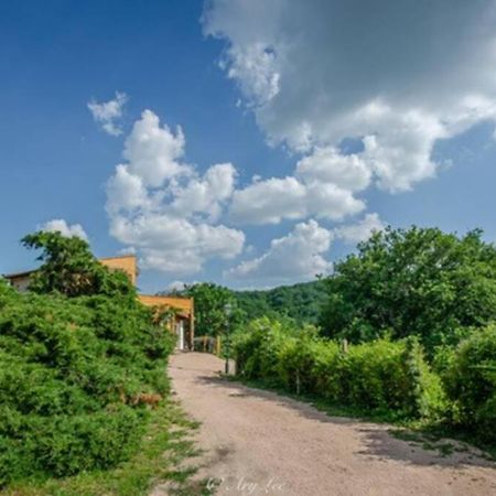 ChouvignyGite Du Mont Plaisir别墅 外观 照片